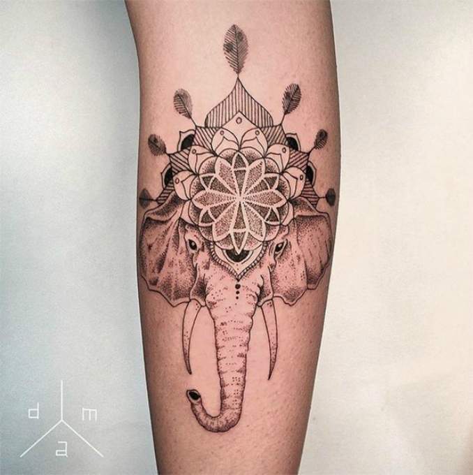 50 Fotos de Tatuagens de Elefantes Dicas de Tatuagens