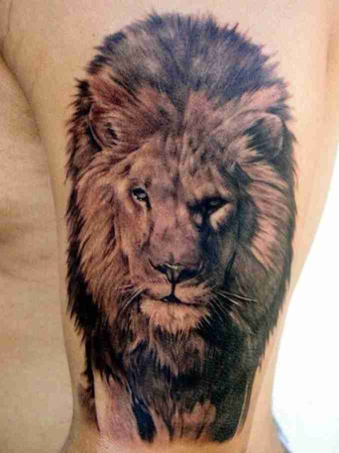 fotos de tatuagens leão - 30