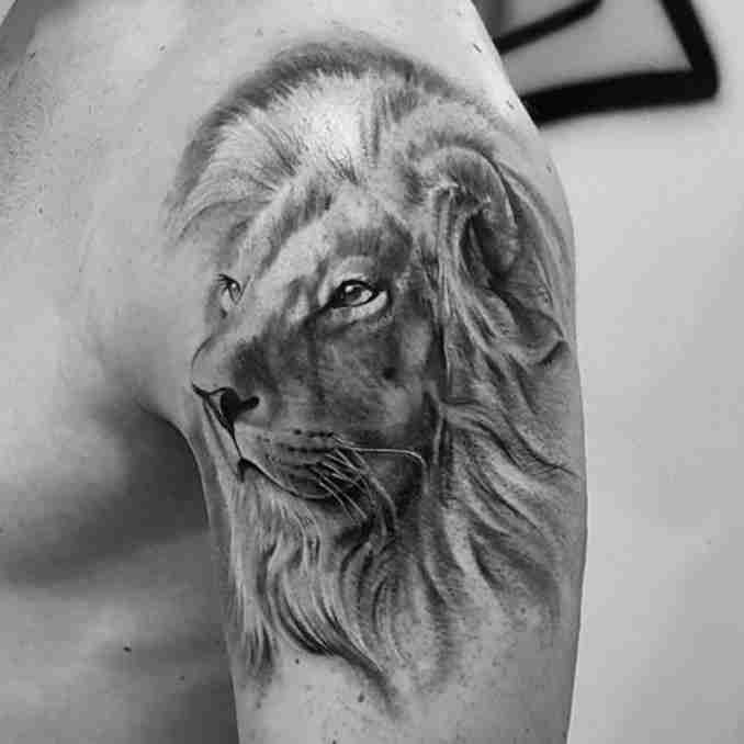 fotos de tatuagens leão - 45