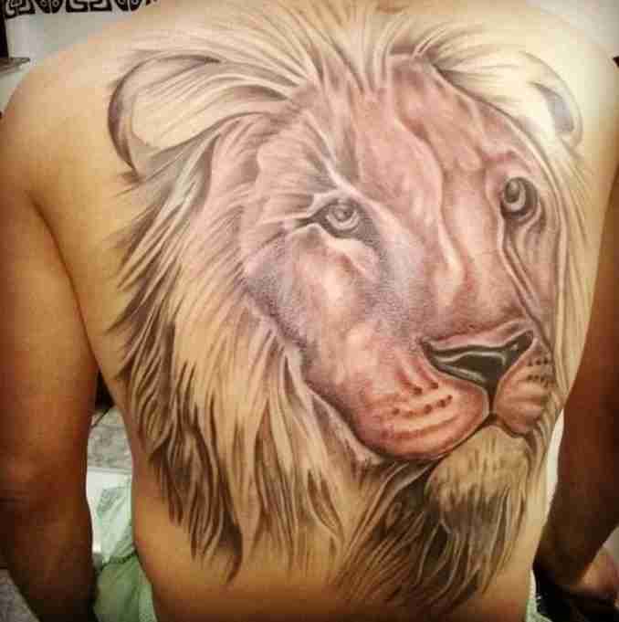 fotos de tatuagens leão - 49